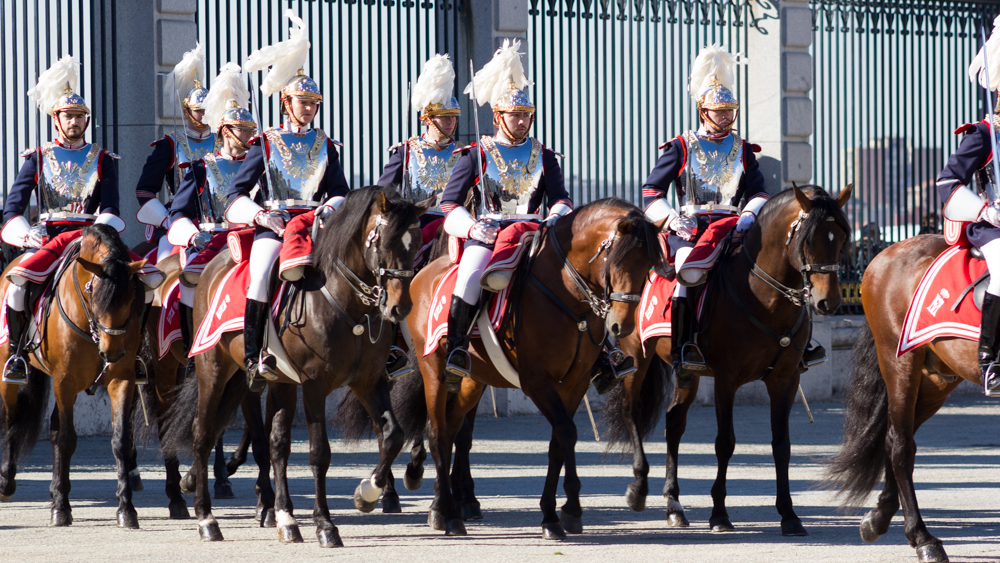 Horses and soldiers during the Change of the Guard at the Royal Palace